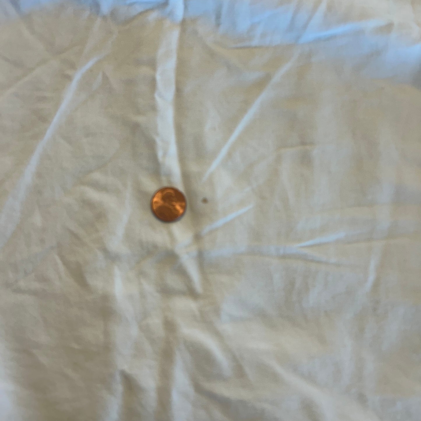 Vintage Cumberland Outfitters Pearl Snap Button Up Size XL